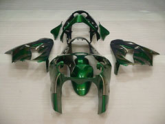 Flame - 緑 銀 フェアリングとボディワーク 2000-2001 NINJA ZX-9R #LF3300